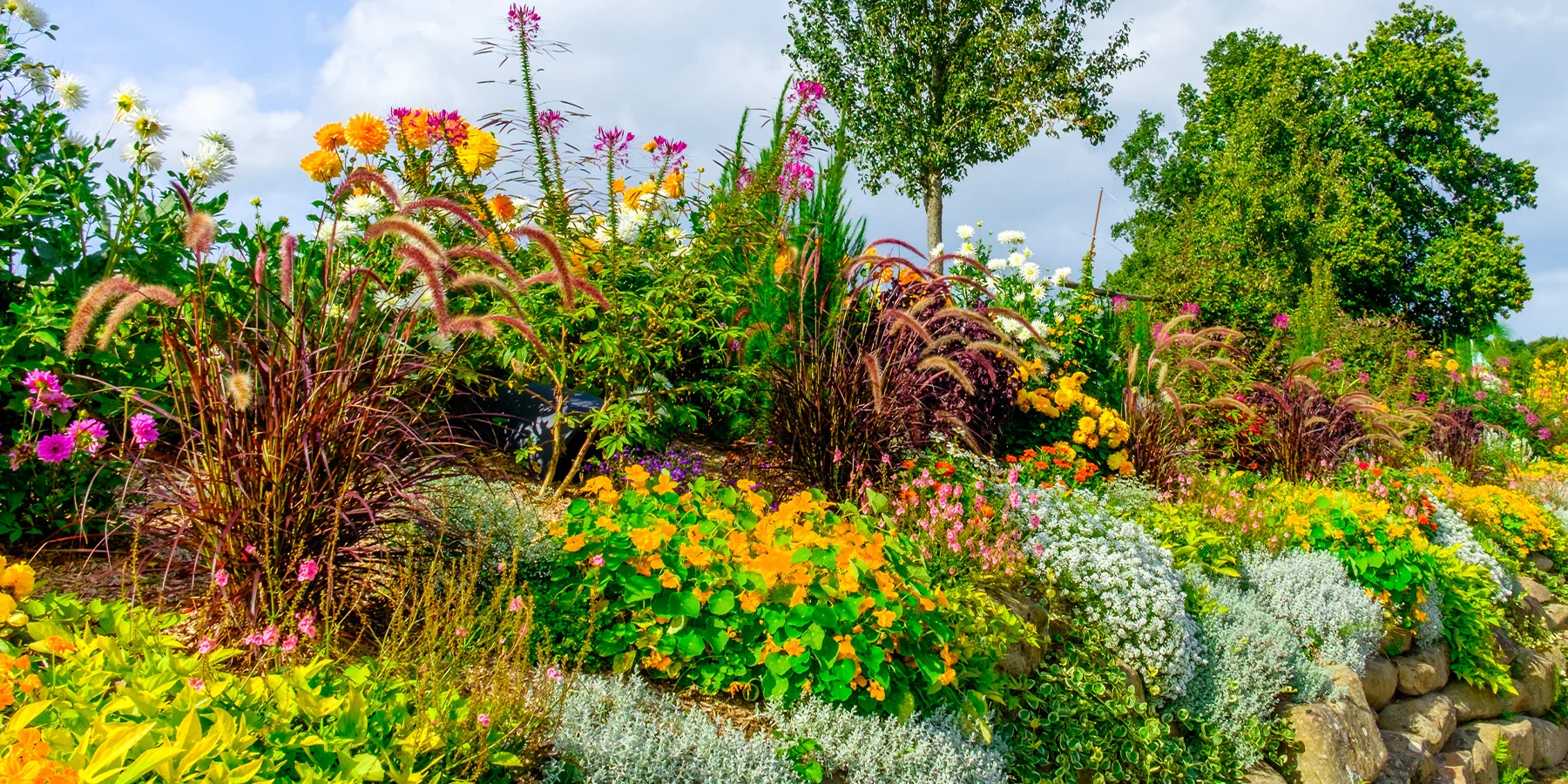 Sublimez votre jardin avec passion