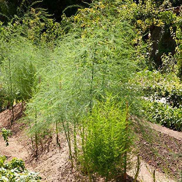 Miniature 2