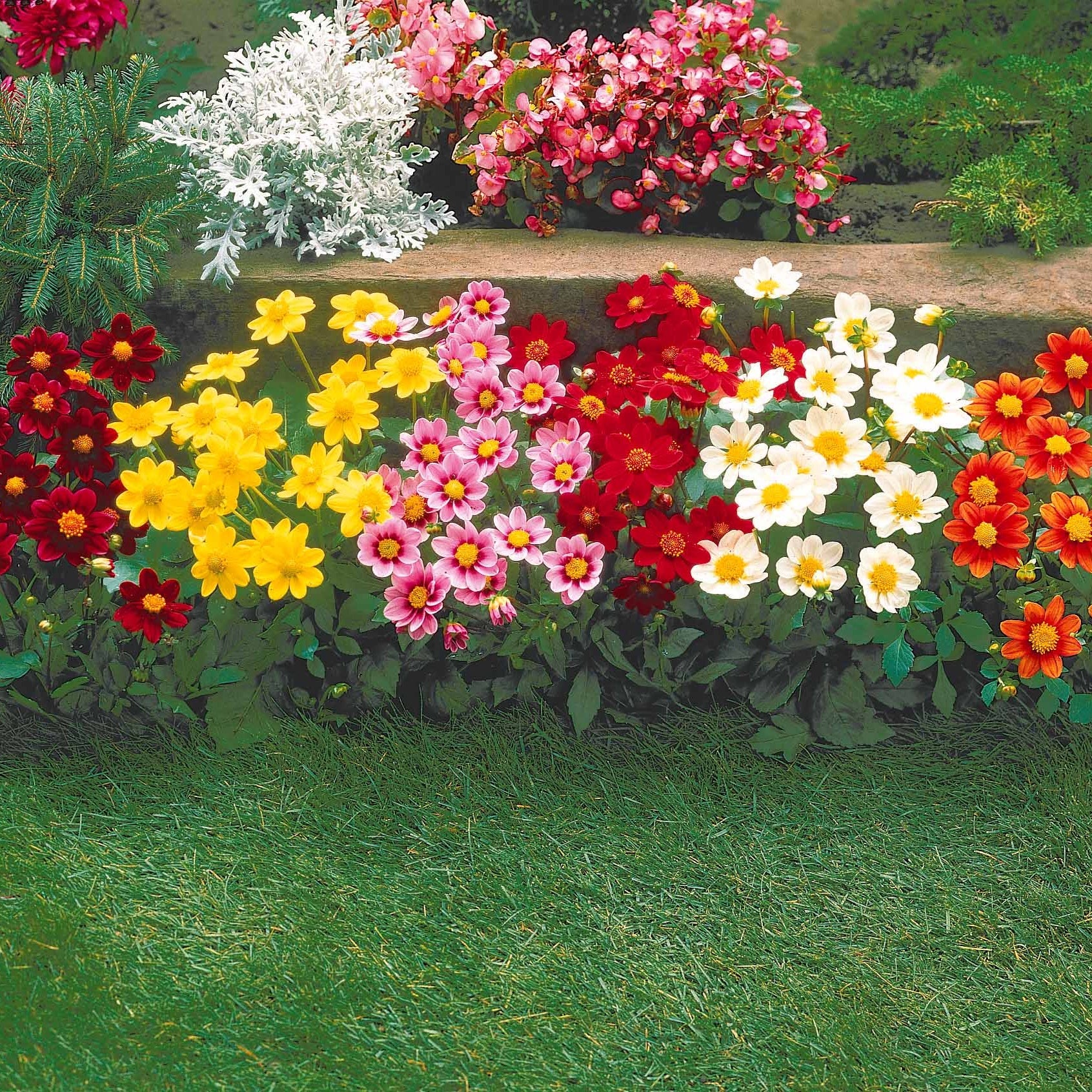 Miniature 6