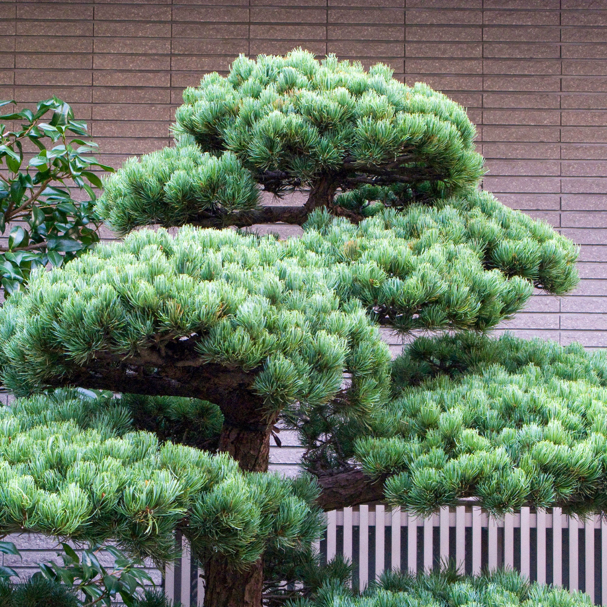 Miniature 4
